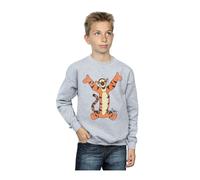 Disney Boys Winnie The Pooh Classic Tigger Sweatshirt 5-6 Years Sport Grey