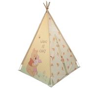 Winnie The Pooh Play Tent