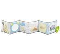 Winnie The Pooh Unfold and Discover