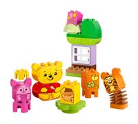 Winnie the Pooh's Birthday Party