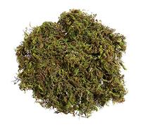 WINOMO 1 Bag of Artificial Moss, Fake Green Lichen Plants for Home, Garden, Patio Decoration (60g)