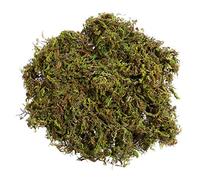 WINOMO Artificial Moss Fake Green Moss Decorative Fake Bulk for Plant Garden Lawn Crafts Decoration 60g/pack