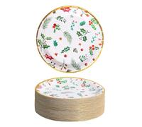 Winoo Design 40 PK Bulk Christmas Plates Disposable - Xmas Seasonal Holly Paper Plates Dinner Plates Decorations Christmas Décor