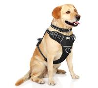 WINSEE Dog Harness No Pull, Pet Harnesses with Dog Collar, Adjustable Reflective Oxford Outdoor Vest, Front/Back Leash Clips for Small, Medium, Large, Extra Large Dogs, Easy Control Handle for Walking