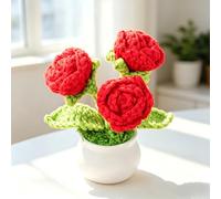 Winsegom Handmade Crochet Potted Flowers, Artificial Rose Forever Flower, Knitted Flower Pot for Home Office Desk Decor, Mini Potted Plants, Cute Knitted Flower Bouquet for Mom Girlfriend Wife