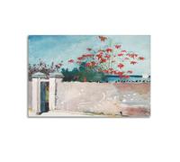Winslow Homer Art Poster A Wall Nassau Canvas Wall Art Picture Prints Hanging Photo Idea Decor Homes Artworks 20x30inch(50x75cm)