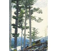 Winslow Homer Old Settlers Großer Kunstdruck Poster Wanddekoration Premium Wandbild