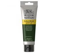 Winsor and Newton 120ml Galeria Acrylic Colour Paint - Hookers Green