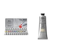 Winsor and Newton 2390402 Artists Acrylic Paint Starter (12 x 20 ml) & 2320060 60 ml Professional Acrylic Colour - Buff Titanium