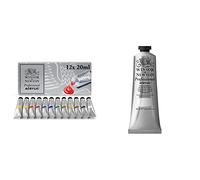 Winsor and Newton 2390402 Artists Acrylic Paint Starter (12 x 20 ml) & 2320644 60 ml Professional Acrylic Colour - Titanium White