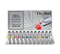 Winsor and Newton Artists Acrylic Paint Starter (12 x 20 ml)