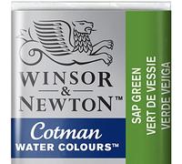 Winsor and Newton Cotman Half Pan Sap Green