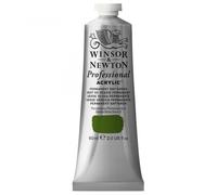 Winsor and Newton Professional Artists Acrylic 60ml - PERM SAP GREEN
