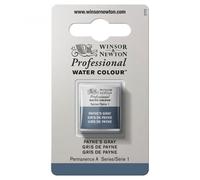 Winsor and Newton Professional Watercolour Half Pans - PAYNES GRAY