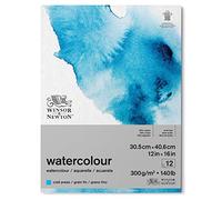 Winsor and Newton Watercolour Paper Pad, 30.5 x 40.6 cm, 12 Sheets, 300 g/m, Glue Bound, Cold Pressed, Acid , Mixture of 25 Percent Cotton and Cellulose Fibres, Natural White