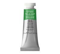 Winsor & Newton : Professional Watercolour : 14ml : Permanent Sap Green