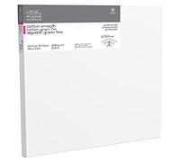 Winsor & Newton 18 x 24-Inch Professional Cotton Smooth Canvas (Pack of 1)
