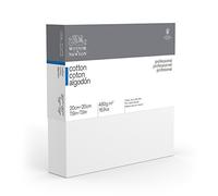 Winsor & Newton 20 x 20 cm Professional Cotton Deep Edge Canvas