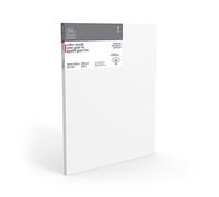 Winsor & Newton 20 x 24-Inch Professional Cotton Smooth Canvas (Pack of 1)