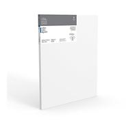 Winsor & Newton 20 x 24-Inch Professional Cotton Traditional Canvas Single unit