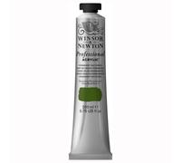 Winsor & Newton 200ml Professional Acrylic Colour Tube - Permanent Sap Green