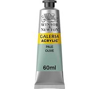 Winsor & Newton 2120435 Galeria Acrylic Paint High Pigmentation Non-fading, Butter Consistency, 60ml Tube - Olive Green Pale