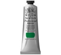 Winsor & Newton 2320311 60 ml Professional Acrylic Colour - Hookers Green