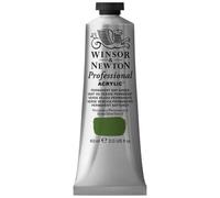 Winsor & Newton : Professional : Acrylic Paint : 60ml : Permanent Sap Green