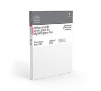 Winsor & Newton 24 x 30-Inch Professional Cotton Smooth Canvas (Pack of 1)