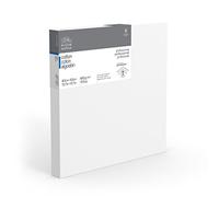 Winsor & Newton 40 x 40 cm Professional Cotton Deep Edge Canvas (Pack of 1)