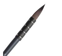 Winsor & Newton 5011500 Professional Synthetic Brush Watercolor Synthetic Squirrel No.0