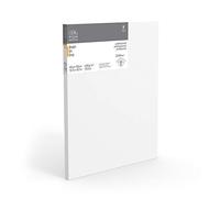 Winsor & Newton 6204001 Professional Canvas Stretcher Frame 465 g/m² Triple Primed Medium Grain Ideal for Oil Paints and Acrylic Paints 100 x 100 cm