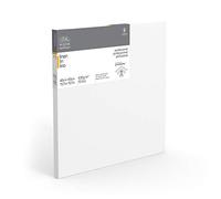 Winsor & Newton 6204001 Professional Canvas Stretcher Frame 465 g/m² Triple Primed Medium Grain Ideal for Oil Paints and Acrylic Paints 100 x 100 cm