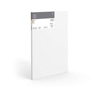 Winsor & Newton 6204001 Professional Canvas Stretcher Frame, 465 g/m², Triple Primed, Medium Grit, Ideal for Oil and Acrylic Paints - 100 x 100 cm 6204014 White Extra Large