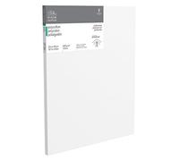 Winsor & Newton 6206027 Professional Stretcher Frame Made of Polycotton 385 g/m² Triple Primed Medium Grain Ideal for Oil and Acrylic Paints 50 x 60 cm