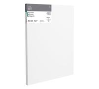 Winsor & Newton 6206068 Professional Stretcher Frame Deep Edge Cotton Blend 385 g/m² Triple Primed Medium Grain Ideal for Oil and Acrylic Paints 80 x 100 cm
