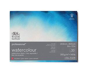 Winsor & Newton 6664006 Professional Watercolour Paper in Pad, 20 Sheets 22.9 x 30.5 cm, 300 g/m², Satined, Bright Natural White Paper in Archival Quality, Resistant to Yellowing