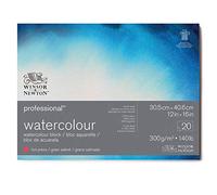 Winsor & Newton 6664008 Professional Watercolour Paper in Pad, 20 Sheets 30.5 x 40.6 cm, 300 g/m², Satined, Bright Natural White Paper in Archival Quality, Resistant to Yellowing