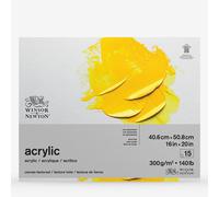 Winsor & Newton Acrylic Paper, White, 16" x 20"