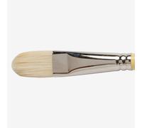 Winsor & Newton : Artist Hog Brush : Filbert : No 12