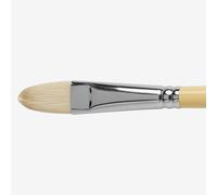 Winsor & Newton : Artist Hog Brush : Filbert : No 8