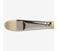 Winsor & Newton : Artist Hog Brush : Short Filbert : No 12