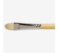 Winsor & Newton : Artist Hog Brush : Short Filbert : No 8