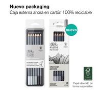 Winsor & Newton Assorted Artists Charcoal Pencil Set of 6