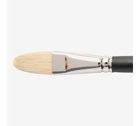 Winsor & Newton : Azanta Black Brush : Filbert : No 10