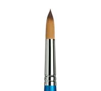 Winsor & Newton Brush, Wood, Transparent, No 16 -. 11.5 mm, round - brush, short handle