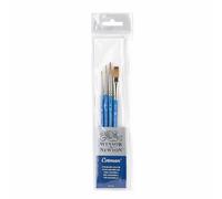 Winsor & Newton Cotman Artist 4 Brush Wallet Set Watercolour Gouache Ink 5390604