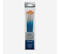 Winsor & Newton : Cotman Watercolour Brush : Set of 5 : Style A