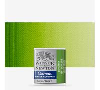 Winsor and Newton Cotman Half Pan Sap Green