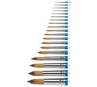 Winsor Newton Cotman Watercolour Paint Brushes in Assorted Shapes & Sizes